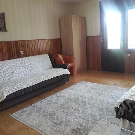 Vila Trtovic Nova Varoš エクステリア 写真