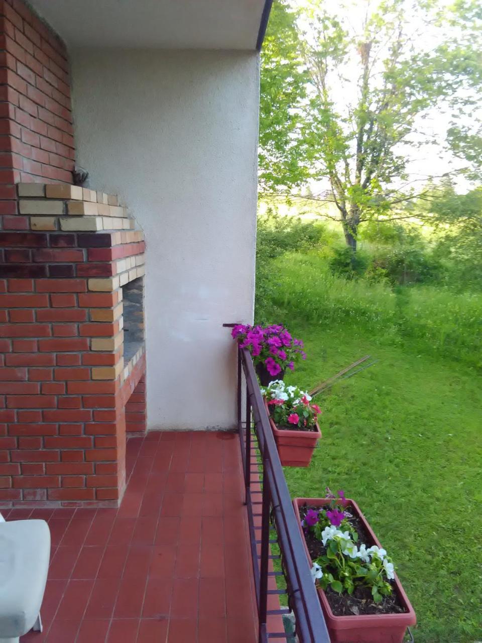 Vila Trtovic Nova Varoš エクステリア 写真